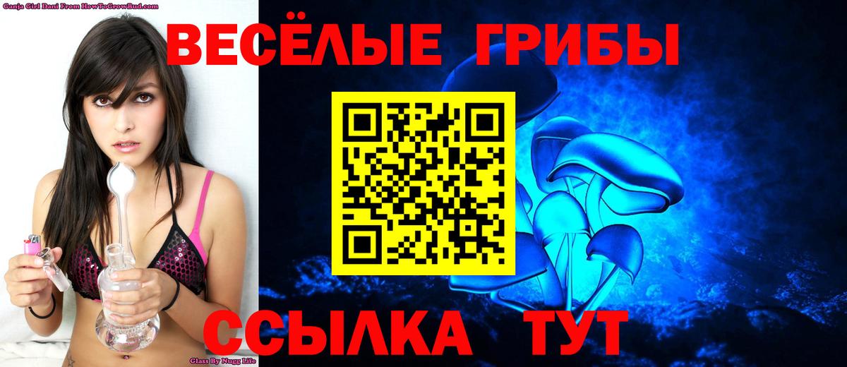 Галлюциногенные грибы Psilocybe  Псилоцибиновые грибы мицелий  Муром  Вход с VPN 