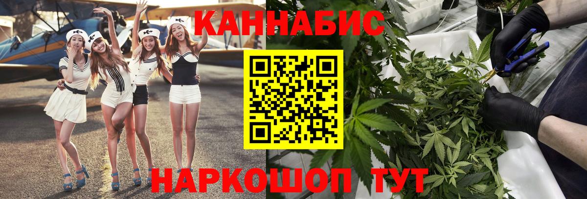 Бошки марихуана гибрид  Вход с VPN  Конопля планчик  Муром  Марихуана OG Kush 